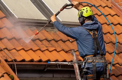 Démoussage et hydrofuge de toiture à Trécon